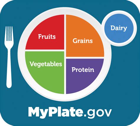 Myplate Healthy Eating Guidance Reaches Its 10th Birthday