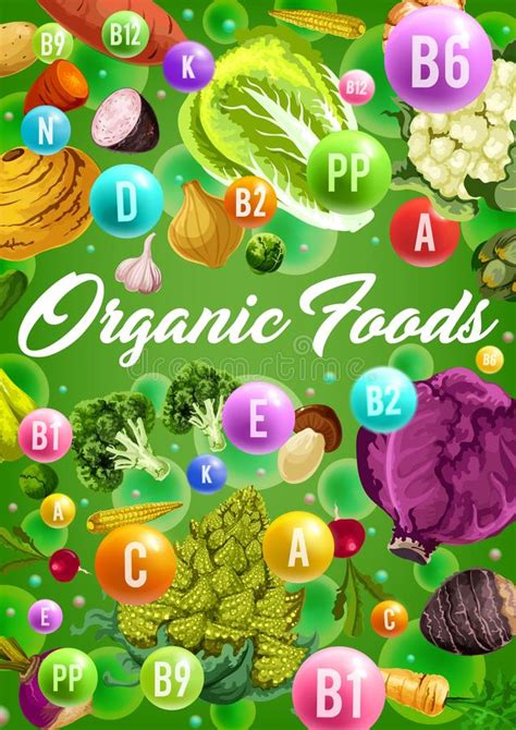 Organic Vegetarian Vegetables And Vitamins Stock Vector Illustration