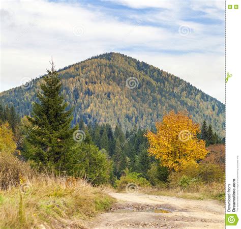 The Mountain Autumn Landscape With Colorful Forest Colorful Autumn