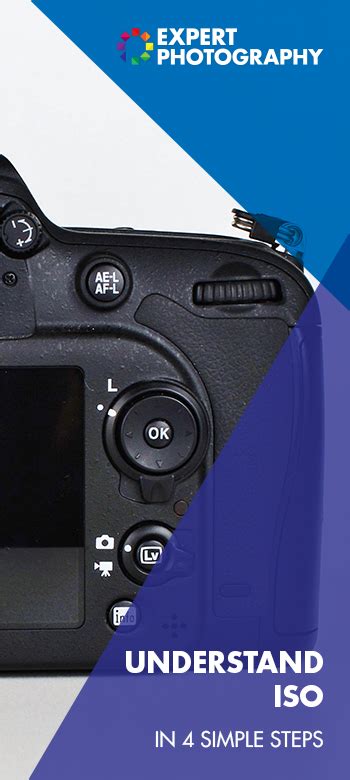 What Is ISO And Why ISO Matters In Photography What Is Iso Camera Basics Take Better Photos