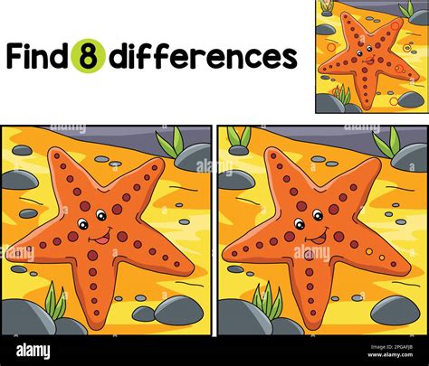 Sea Star Animal Find The Differences Stock Vector Image And Art Alamy