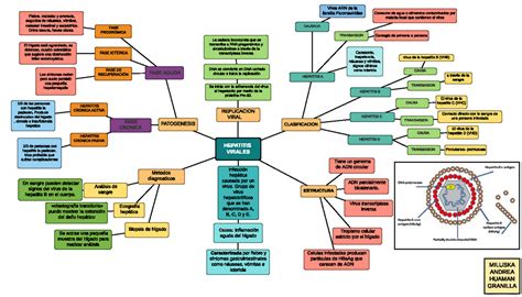 Mapa Conceptual Bioestadistica By Victor Mendez Issuu Images Porn Sex Picture