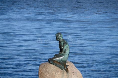 The Bronze Statue Of The Little Mermaid Copenhagen Denmark Editorial