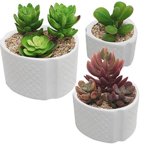 Metal shelf flower pot mini black/white/bronze 3 layers plant stand rack holder for garden indoor outdoor decoration 0 review cod. VintageStyle White Ceramic Succulent Plant Pots Mini ...