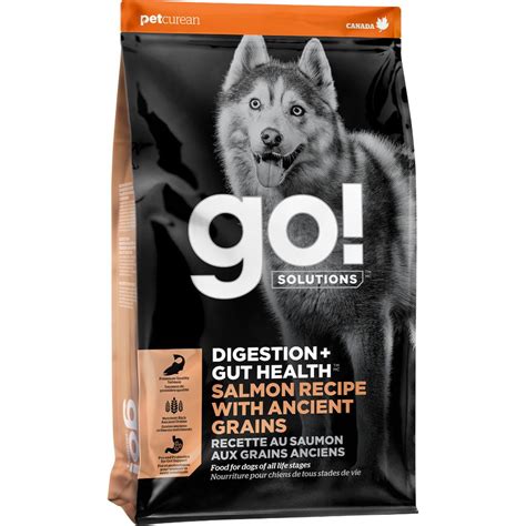 Go Solutions Digestion Gut Health Salmon With Ancient Grains Dry Dog