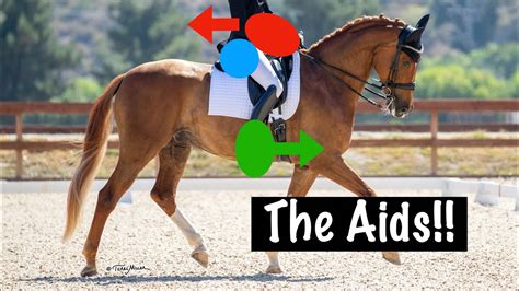The Aids How To Talk To Your Horse Youtube