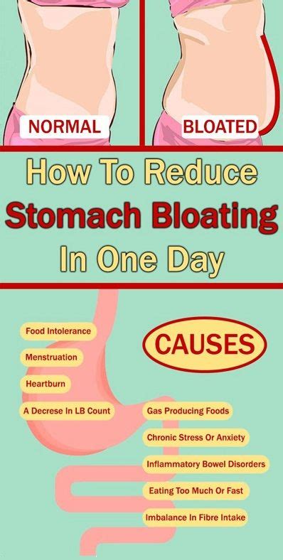 How To Reduce Stomach Bloating In One Day Reduce Stomach Bloat