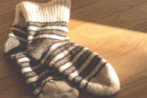 6 Reasons Why All Golden Retrievers Love Socks So Much Retriever