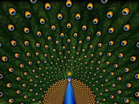 Peacock Desktop Wallpapers Wallpaper Cave