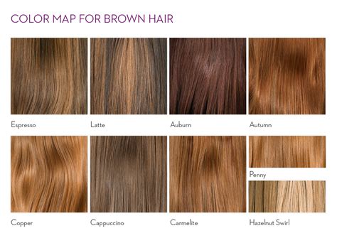 Caramel Brown Hair Color Chart Best Hair Color For Brown Green Eyes