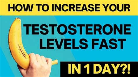 How To Increase Your Testosterone Levels Fast In One Day Testosterone