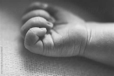 Macro Photograph Of A Babys Hand By Alison Winterroth Newborn