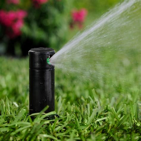 Lawn Watering Tips And Techniques The Home Depot