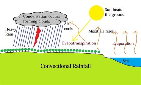 Precipitation Types Of Precipitation And Types Of Rainfall