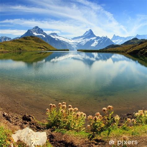 Das bürgeramt prenzlauer berg, fröbelstr. Fototapete Schweizer Berge Alpen See - Grindelwald • Pixers® - Wir leben, um zu verändern