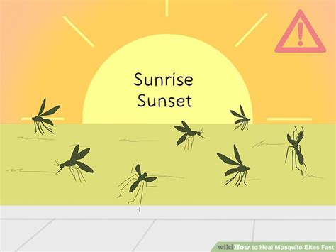 3 Easy Ways To Heal Mosquito Bites Fast Wikihow