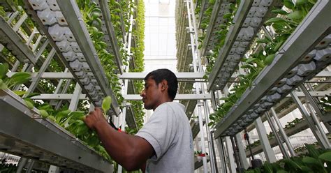 A Brief Introduction On Vertical Farming