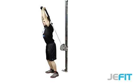 Overhead Cable Tricep Extension