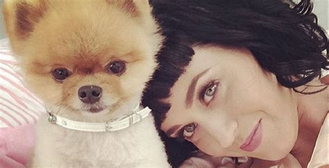 Pelfie Mania Copia Katy Perry Paris Hilton And Co E Fai Il Tuo Selfie