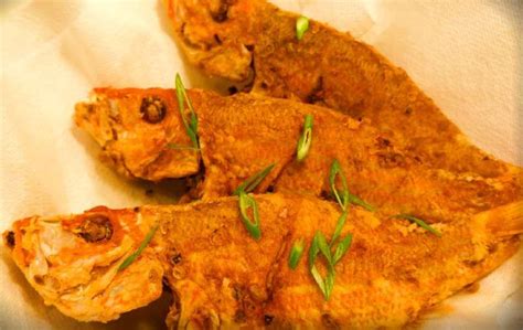 Red Snapper Jamaican Fried Fish Fish Info