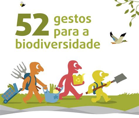 Como As Políticas Públicas Podem Auxiliar Na Preservação Da Biodiversidade