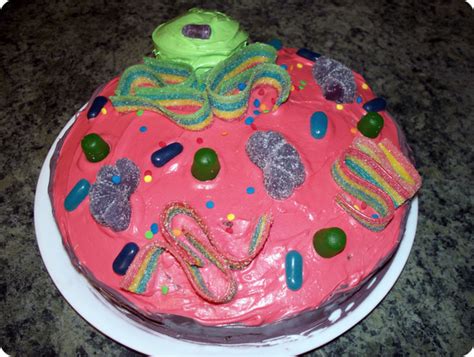 How To Make An Animal Cell Cake Connie Thref1996