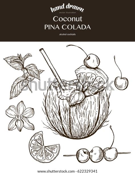 Coconut Pina Colada Vector Sketch Illustration Stock Vector Royalty