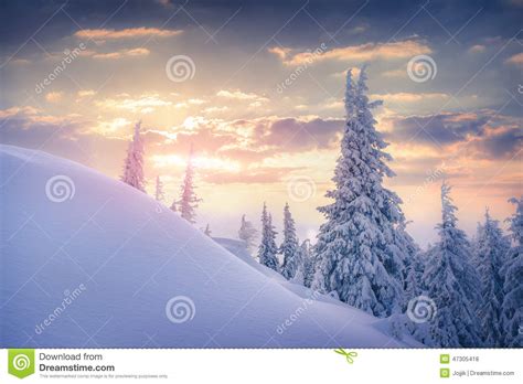 Beautiful Winter Sunrise In The Mountains Stock Photo Image Of