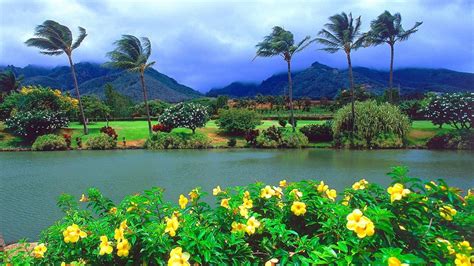 Maui Island Is The Second Largest Island In The Hawaiian Islands Yellow
