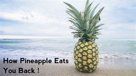 How Pineapple Eats You Back Youtube