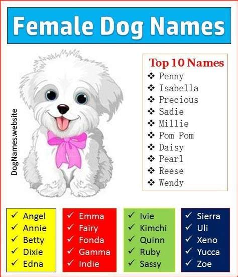 What are some good female dog names? - Quora