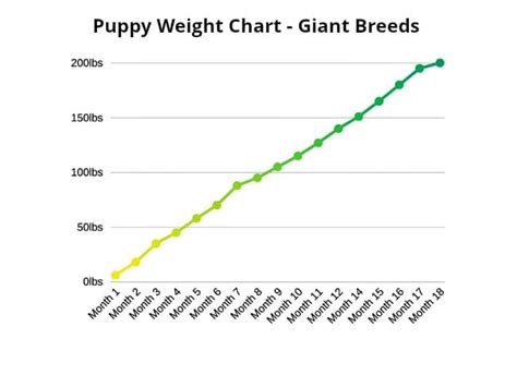 How Much Do Doberman Puppies Weigh At Birth