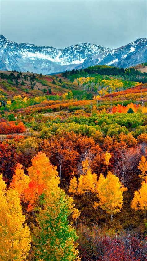 Wallpaper Autumn Forest Mountain 5k Nature 16242