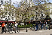 The Top Things to Do in the Latin Quarter, Paris
