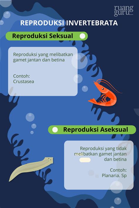 Contoh Hewan Avertebrata Invertebrata Klasifikasi Ciri Gambar Biologi Kelas