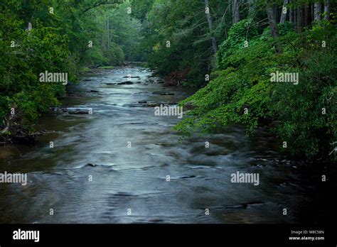 A Morning River Scene In The Davidson River Campground Pisgah National