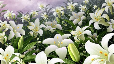Easter Lily Wallpapers Top Free Easter Lily Backgrounds Wallpaperaccess