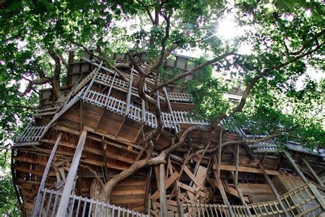 Marc's treehouse lodge, kruger national park: World's Largest Treehouse Burns to the Ground - JLD SEO Marketing Top Rated Florida Marketing ...