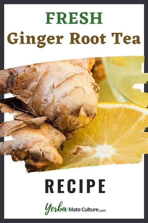 Ginger Is One Of The Healthiest Plants On Earth And Its Also Delicious