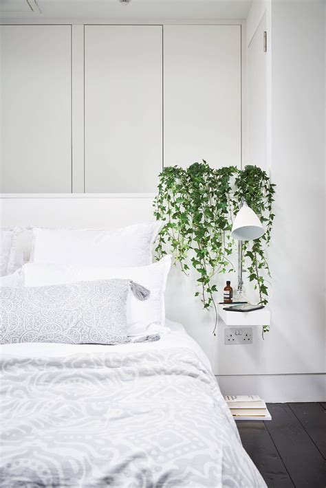 Minimalist White Bedroom With English Ivy Indoor House Plant Nonagon