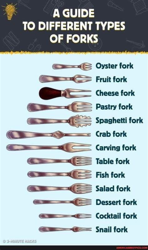 The Complete Guide To All Types Of Forks Daily Infographic