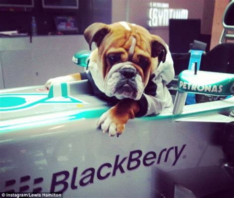 12,716 likes · 27 talking about this. What's all the fuss about Roscoe? | Chris on F1
