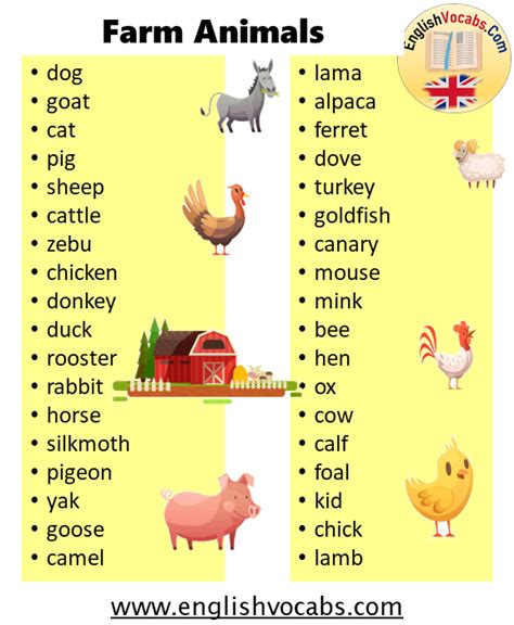 What Is Farm Animal 36 Farm Animals Names List English Vocabs
