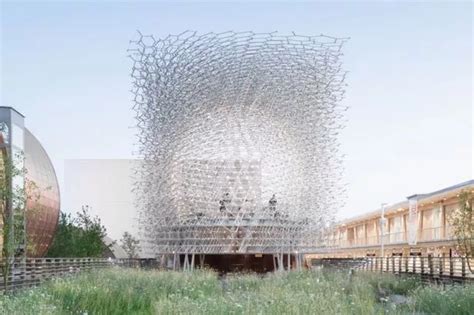 Spectacular The Hive Sculpture Creating A Buzz At Kew Gardens Get