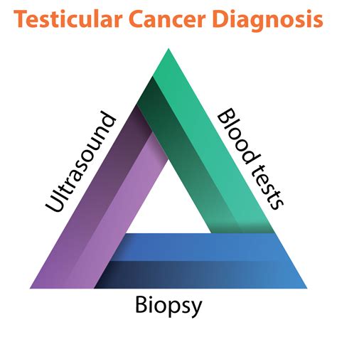 Testicular Cancer Symptoms Causes Diagnosed Treatments