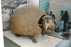 Giant Armadillo Information, Habitat, Adaptations, Pictures