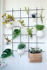 ▶ compra plantas artificiales baratas. ideas para colgar cosas en la pared - Buscar con Google ...