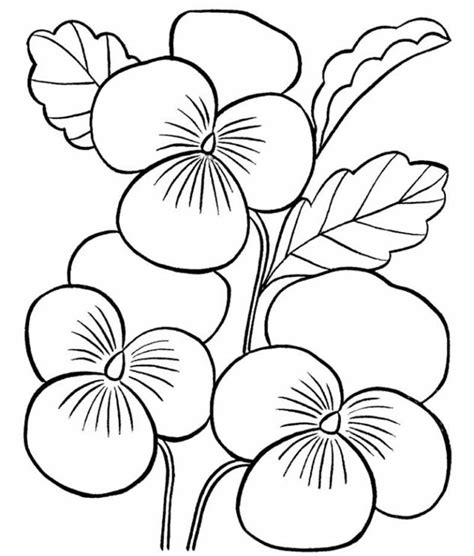 Desenhos De Flores Para Imprimir E Colorir Dicas Práticas Flores
