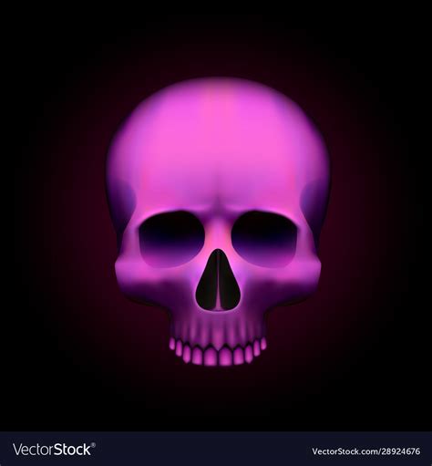 Human Skull Isolated On Black Color Pink Object Vector Image