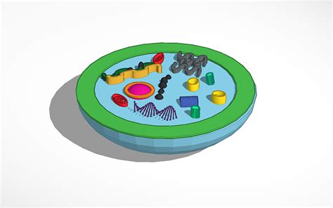 3d Design Ella Rankin Animal Cell Tinkercad